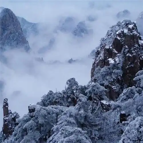 银装素裹黄山雪景风景头像图片