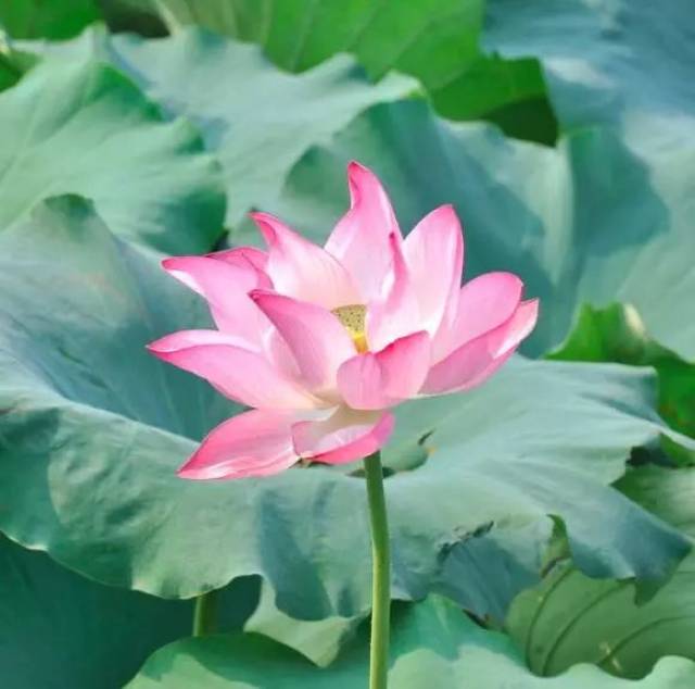 深圳人,你知道微信头像有多重要吗?自从换头像,我的微信