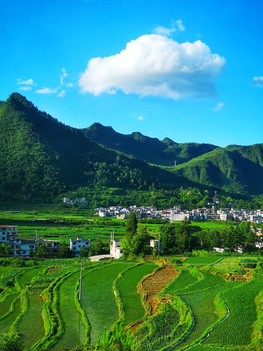 山下的乡村美景