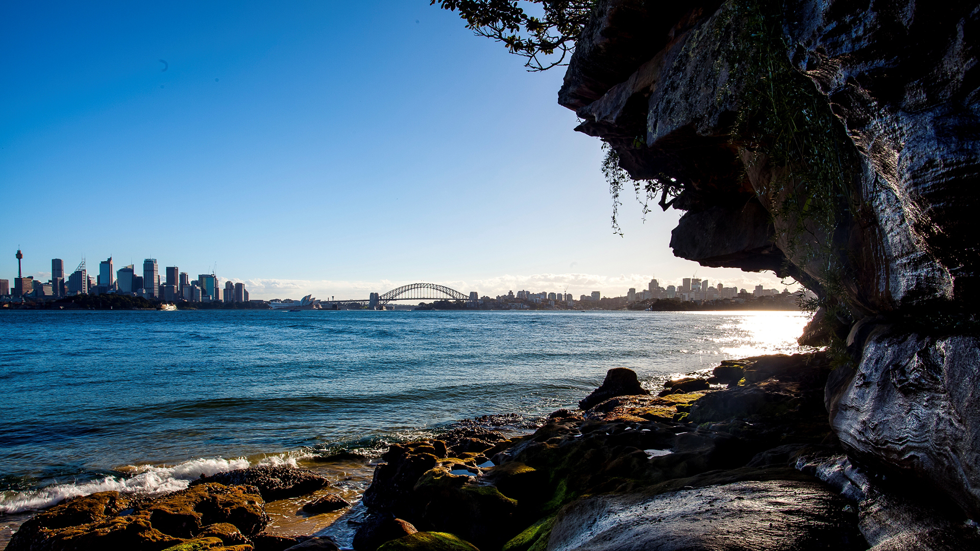 悉尼港湾风景摄影高清宽屏桌面壁纸