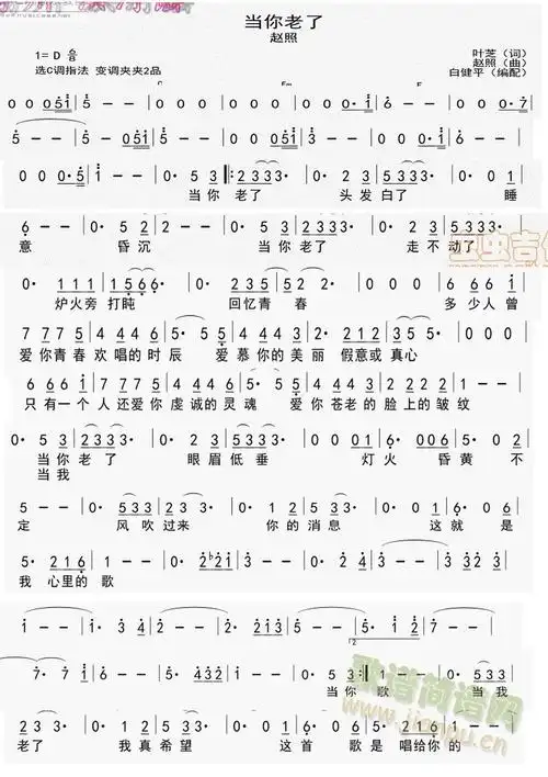 当你老了 赵照 歌谱简谱网