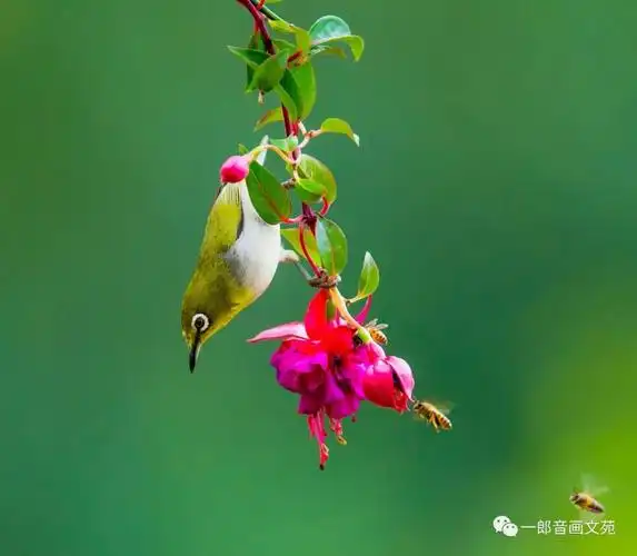 春天是一个鸟语花香,桃红柳绿,阳光明媚,充满希望的季节.