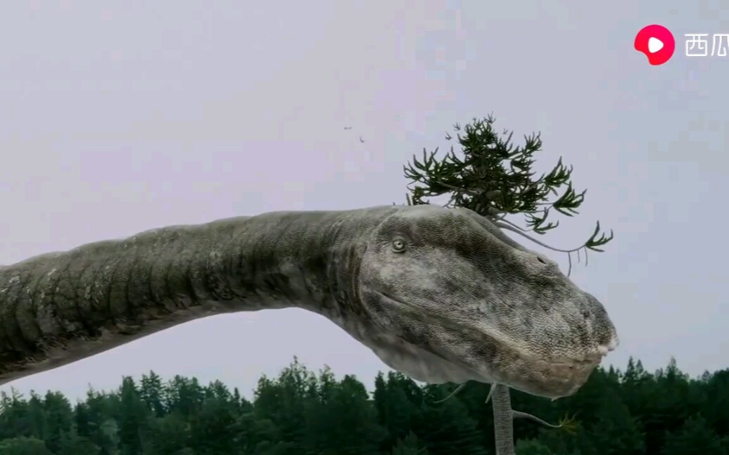 恐龙再现地震龙多智龙特暴龙伶盗龙虚骨龙灵鳄出场合集