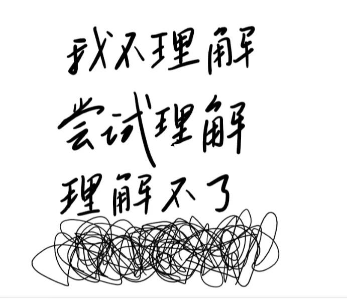 不理解