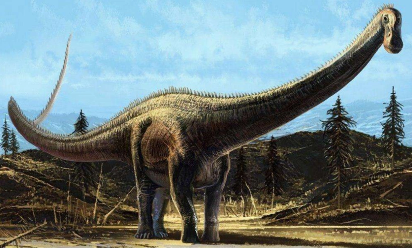 10种恐龙名字和图片