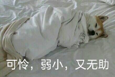 可怜,弱小,又无助_无助_弱小_可怜表情