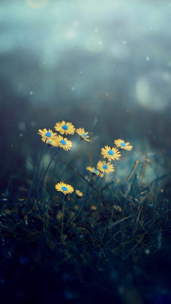 花朵系列小清新手机锁屏壁纸合集包(一)