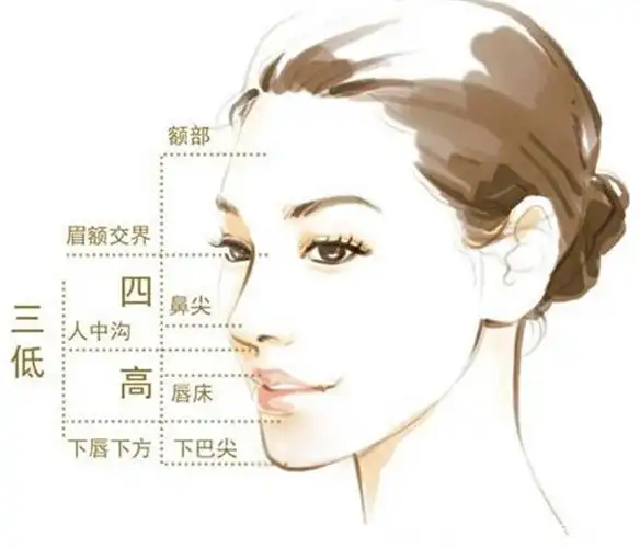素描头像三庭五眼四高三低是什么意思
