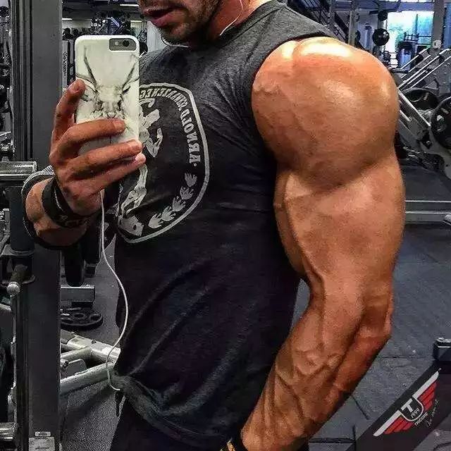 一个都不能少完美三角肌必备的训练建议