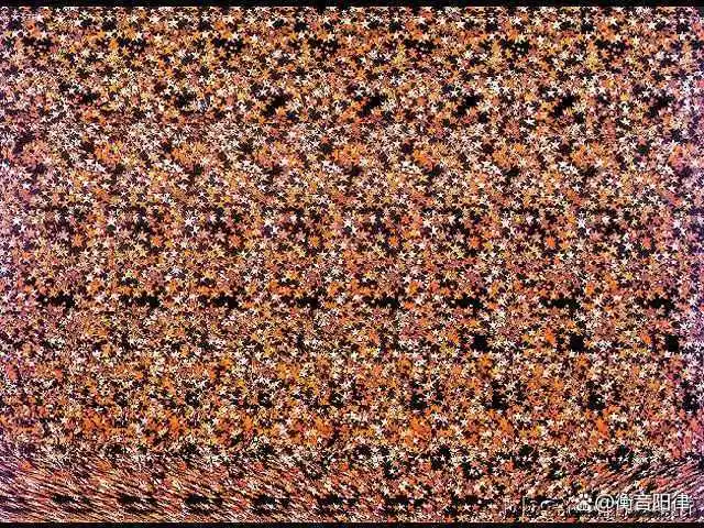 三维立体图你能看到隐藏的精彩吗