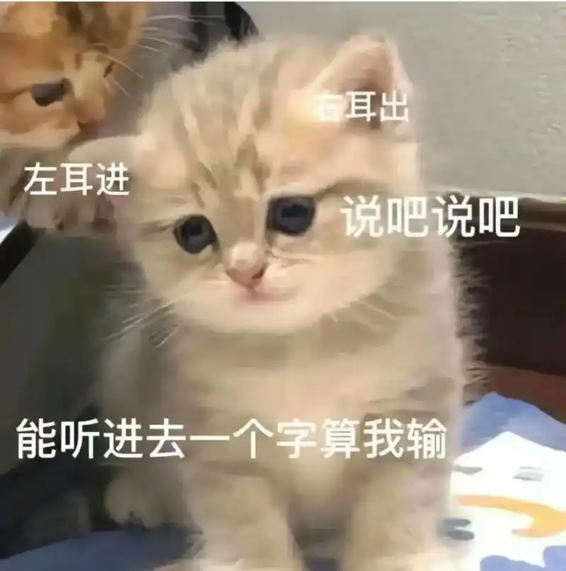 左耳进右耳出,能听进一个字算我输#图文伙伴计划 #猫咪表情包 - 抖音