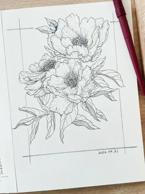 照片写生素材见笔记#画画 #绘画 #速写  #花卉速写