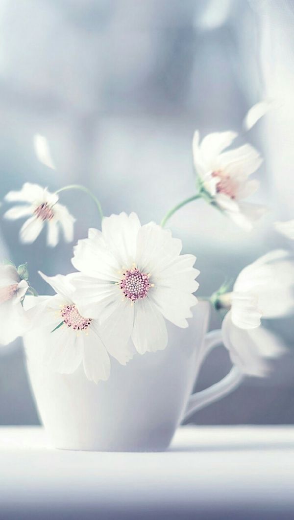 唯美小清新的风景静物图片_唯美图片_我要个性网