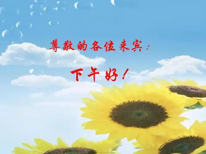 尊敬的各位来宾: 下午好!