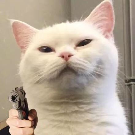 猫咪拿枪表情包_拿枪_猫咪表情