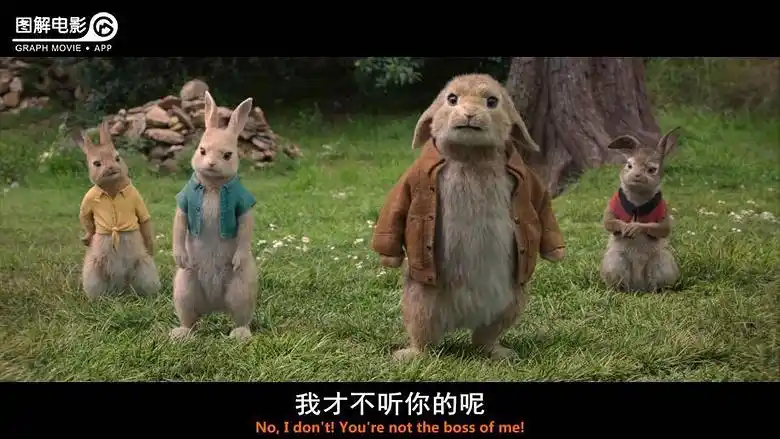 图解电影《比得兔》可爱又可恨-第16页-影视抢先看-杭州19楼