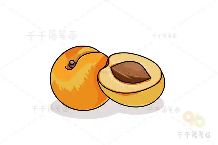 好吃的杏简笔画