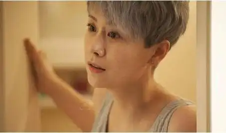 小欢喜黄磊智斗海清(海清气急败坏的样子)(10)