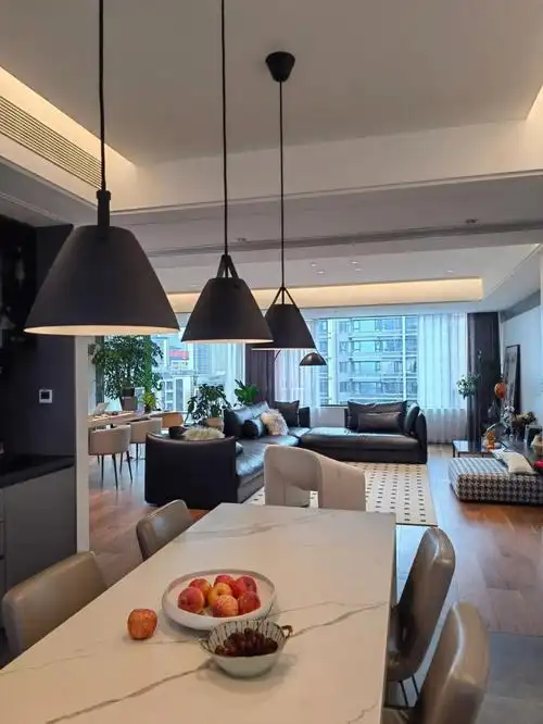 因为这l型大客厅,购买这套房.