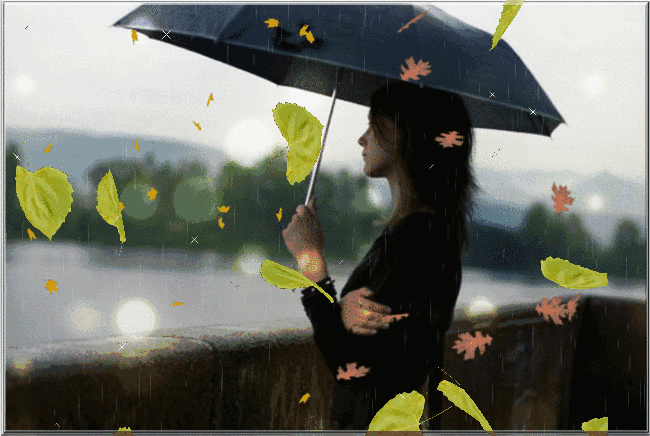 650_436gif 动态图 动图