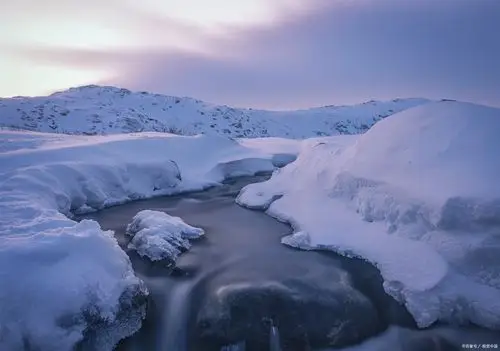 北极"最后的冰区"海冰融化创纪录
