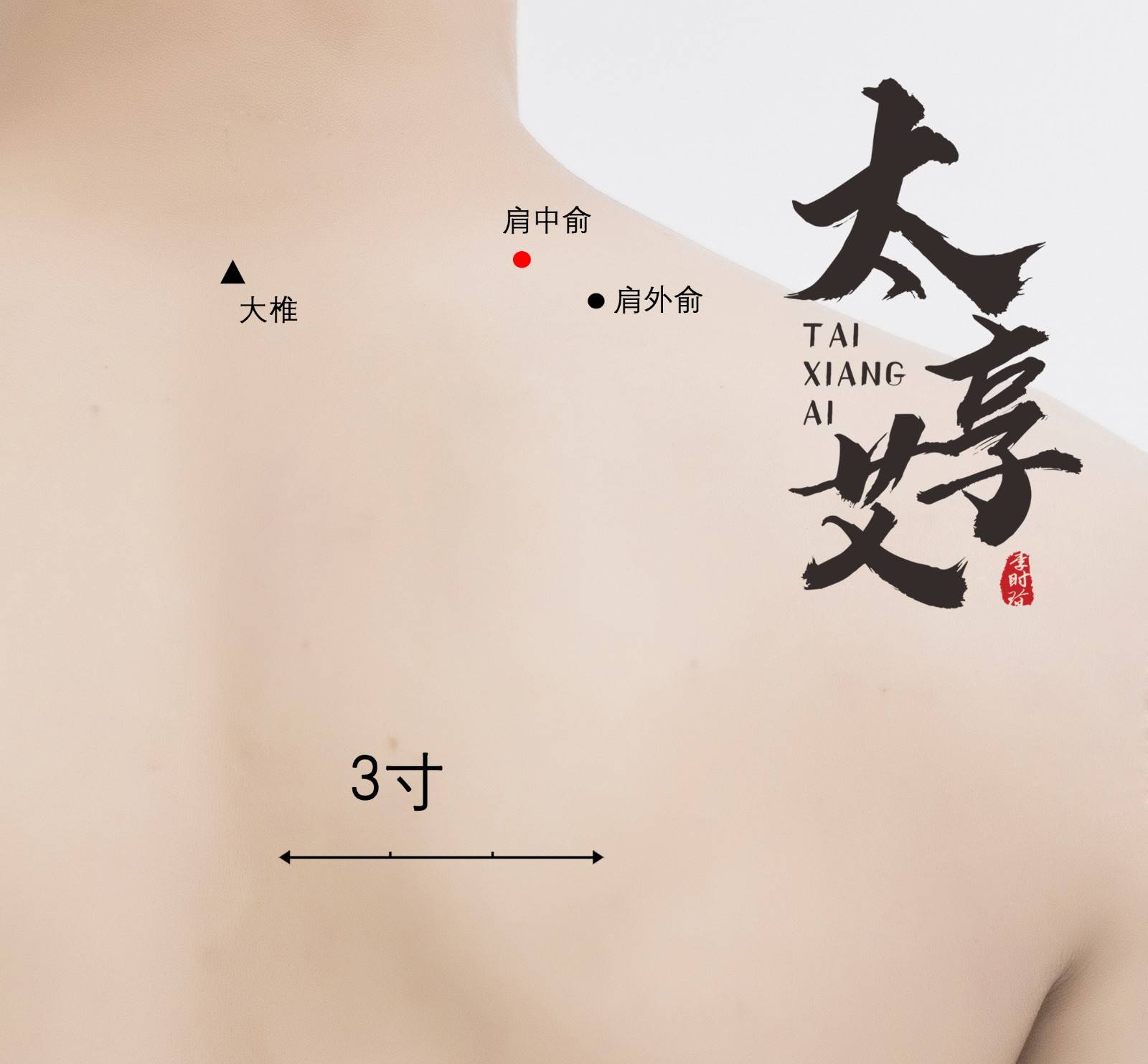 穴位具体位置图