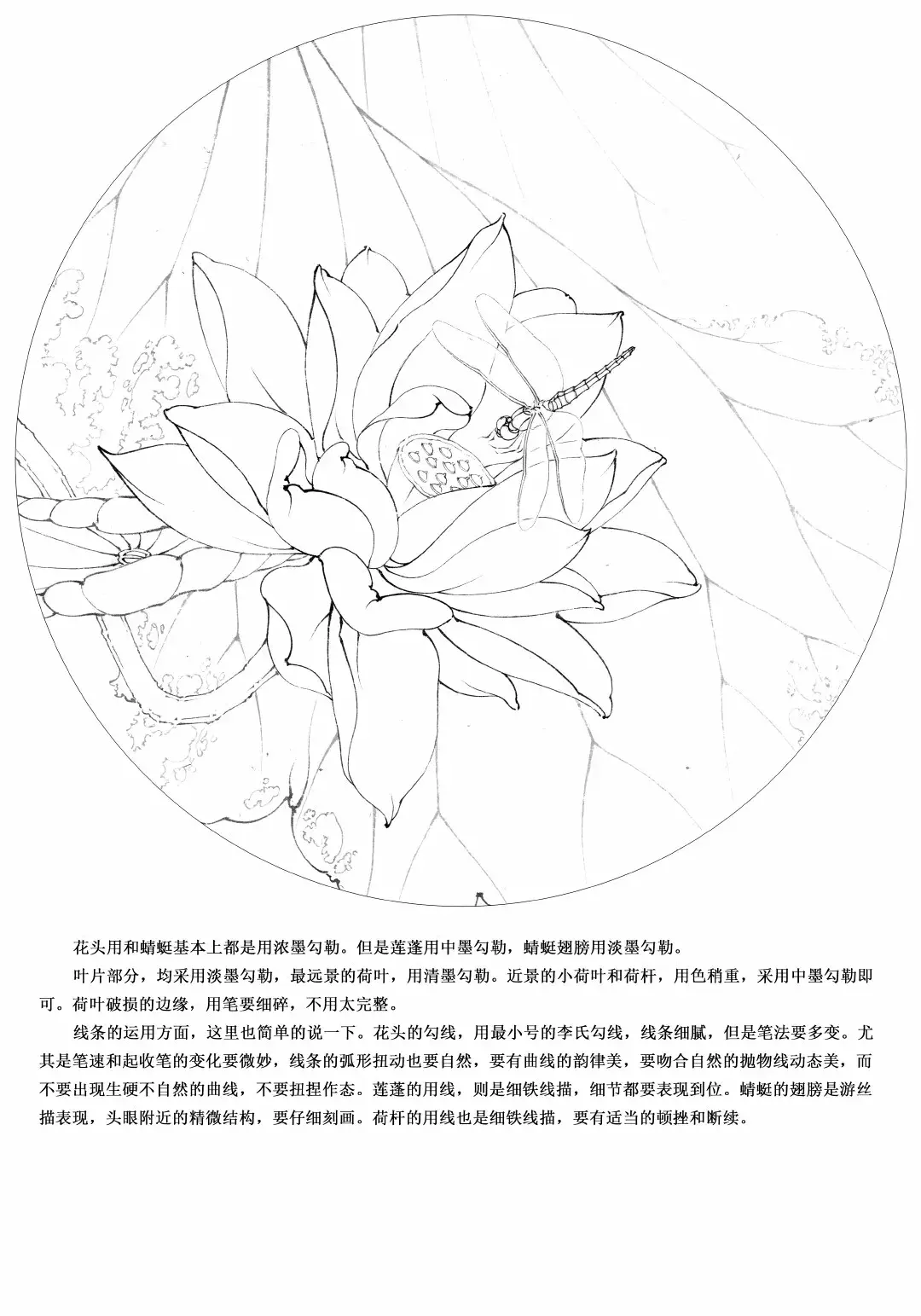 李晓明老师新作工笔荷花朱砂荷详细步骤