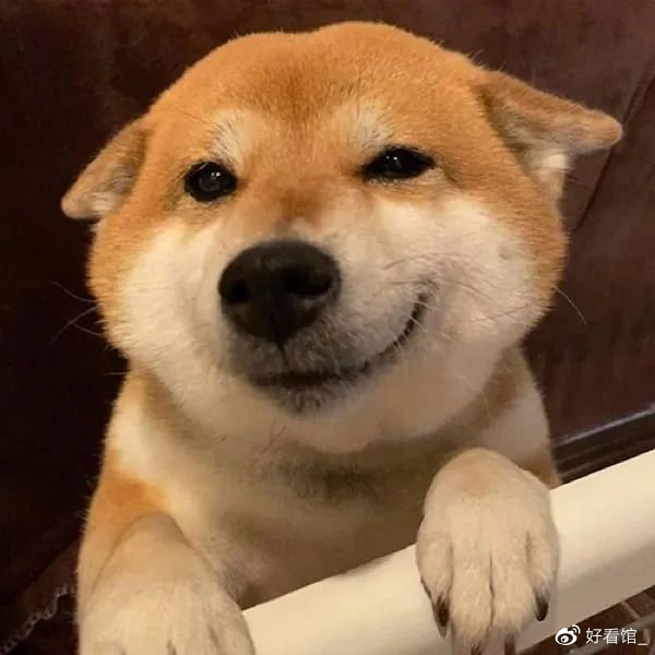 超可爱沙雕搞怪头像搞怪头像图片沙雕可爱又奇葩又搞笑的沙雕头像