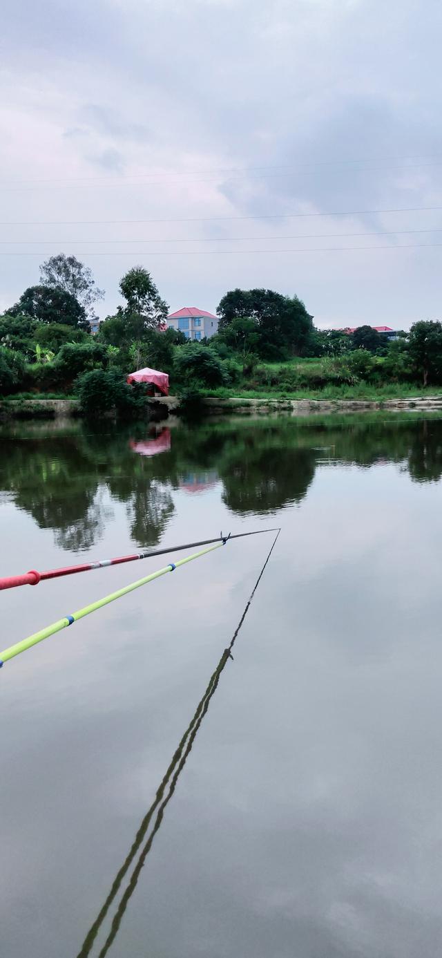 钓鱼#