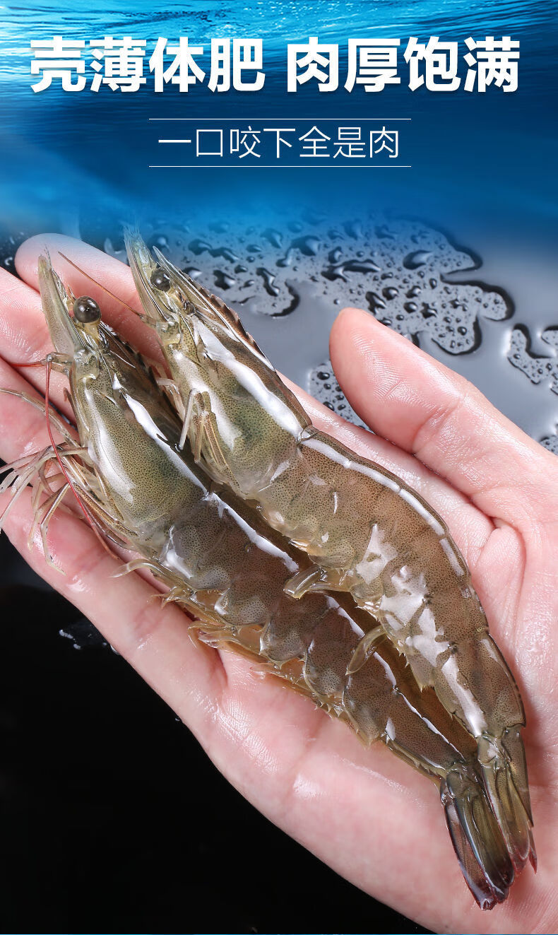 美苹新鲜海捕大虾整箱超大鲜活基围虾海虾对虾海鲜冻虾活虾海鲜净重32