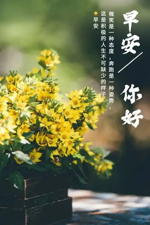 特别暖心的早安短句(高情商打动人心的早安)