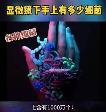 【steam实验】挑战第七十二周:洗手洗掉了什么?_培养皿_细菌_肥皂