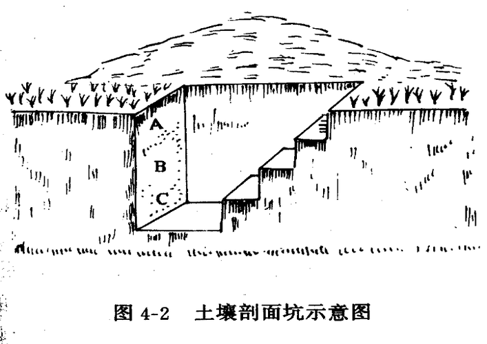 土壤制图(土壤制图)_尚可名片