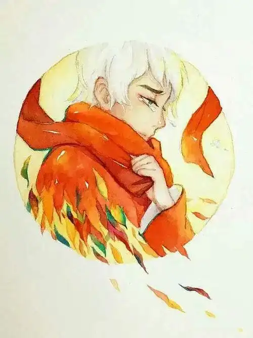 (大鱼海棠)影评