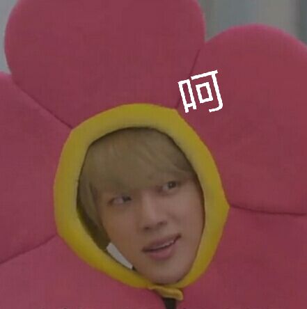 自截表情包金硕珍jin金花式嘲讽