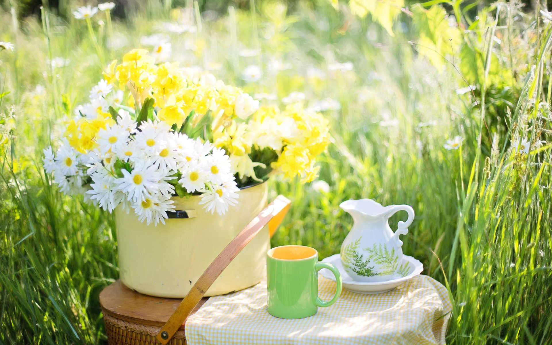 清新淡雅的雏菊花卉桌面壁纸