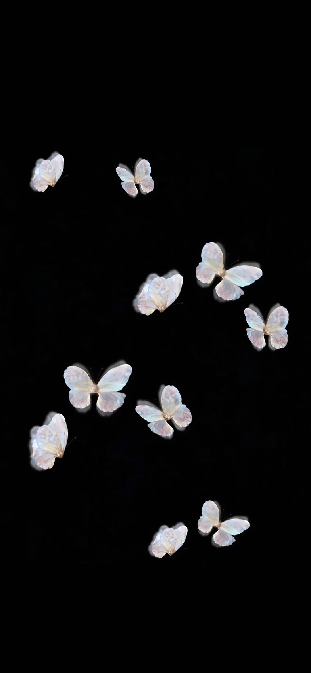 黑色蝴蝶壁纸_手机壁纸_唯美其他手机壁纸_我要个性网