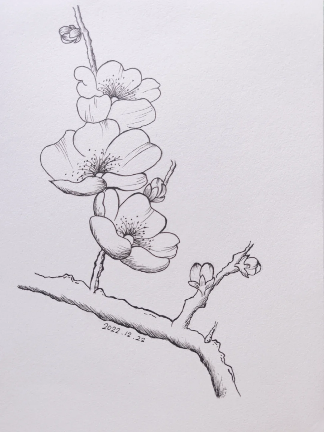 今日冬至画枝梅花这两个月经历了很多事,2022过得太快,马上就要结束