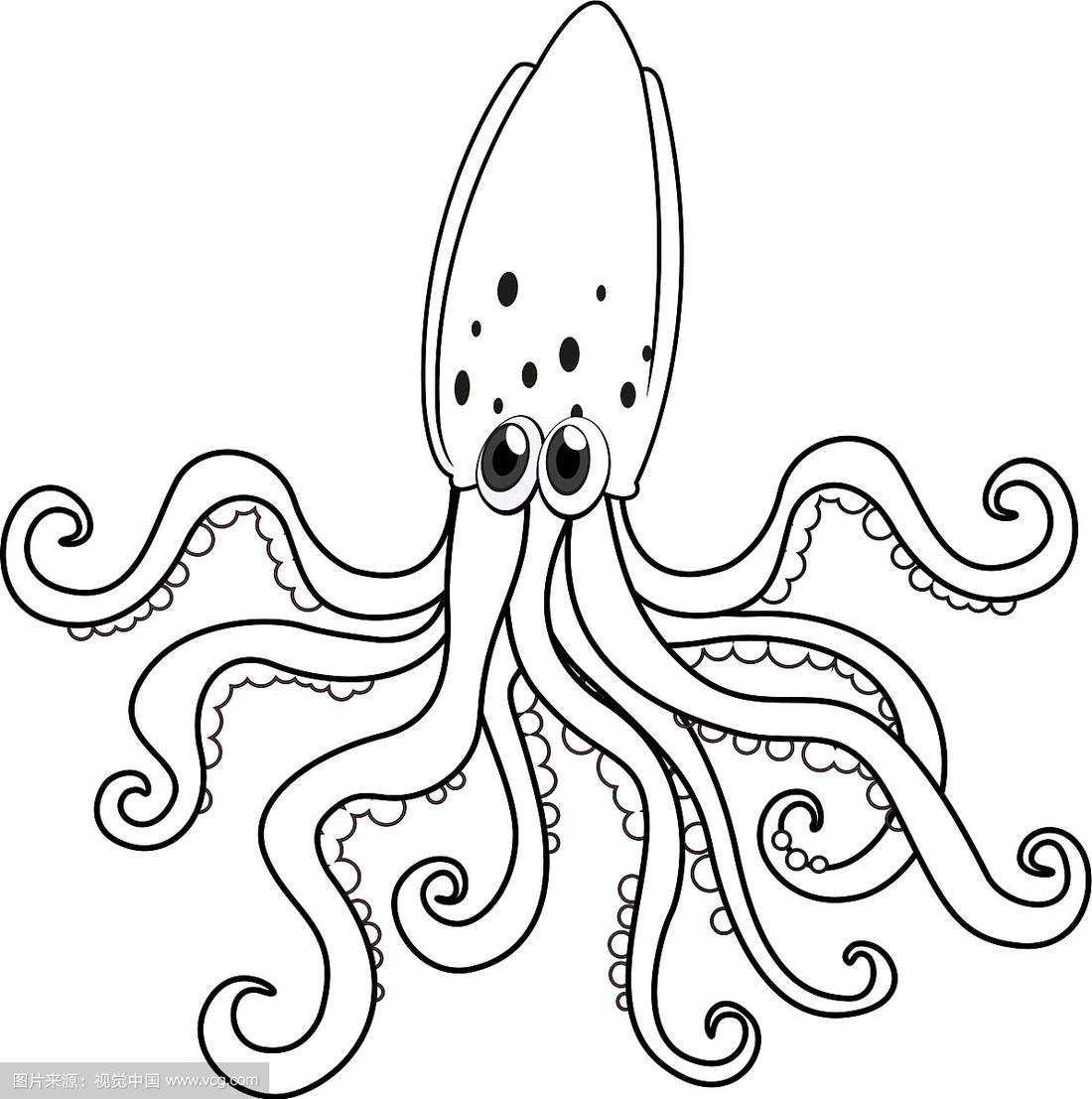 乌贼的涂鸦动物轮廓