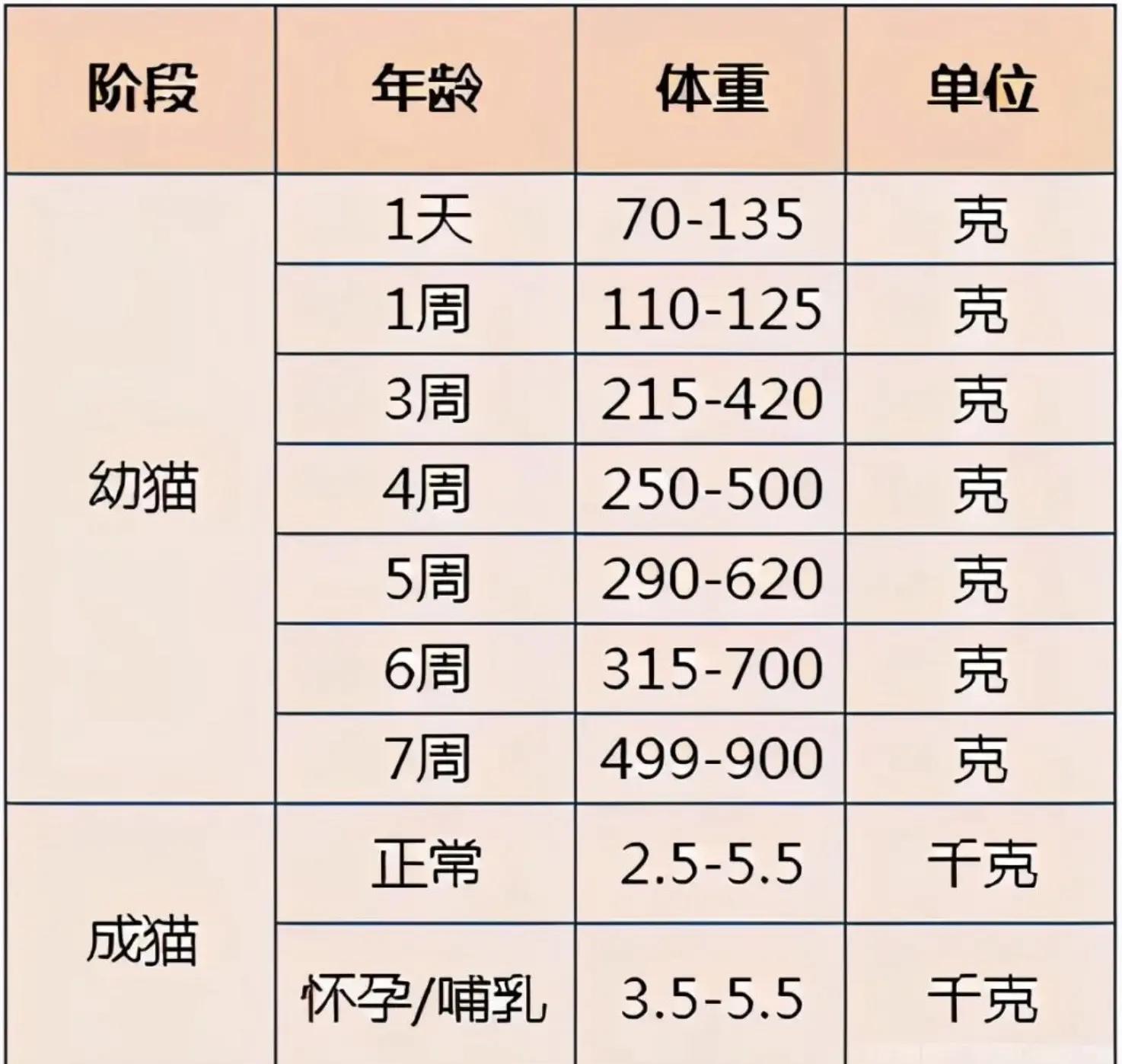 猫咪体重标准表,胖瘦一览!