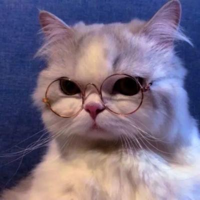 超咔哇伊猫咪头像