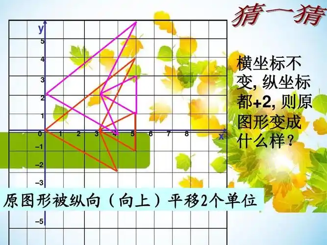 –4 原图形被纵向(向上)平移 2个单位 –5                 x 横坐标