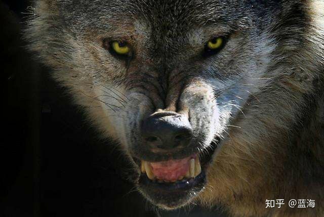 杀气名字_为官之道 杀气_两个杀气名字