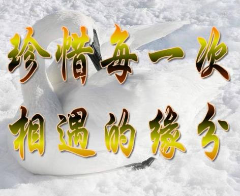 缘分不易彼此珍惜图片,珍惜缘分陪伴一生图片