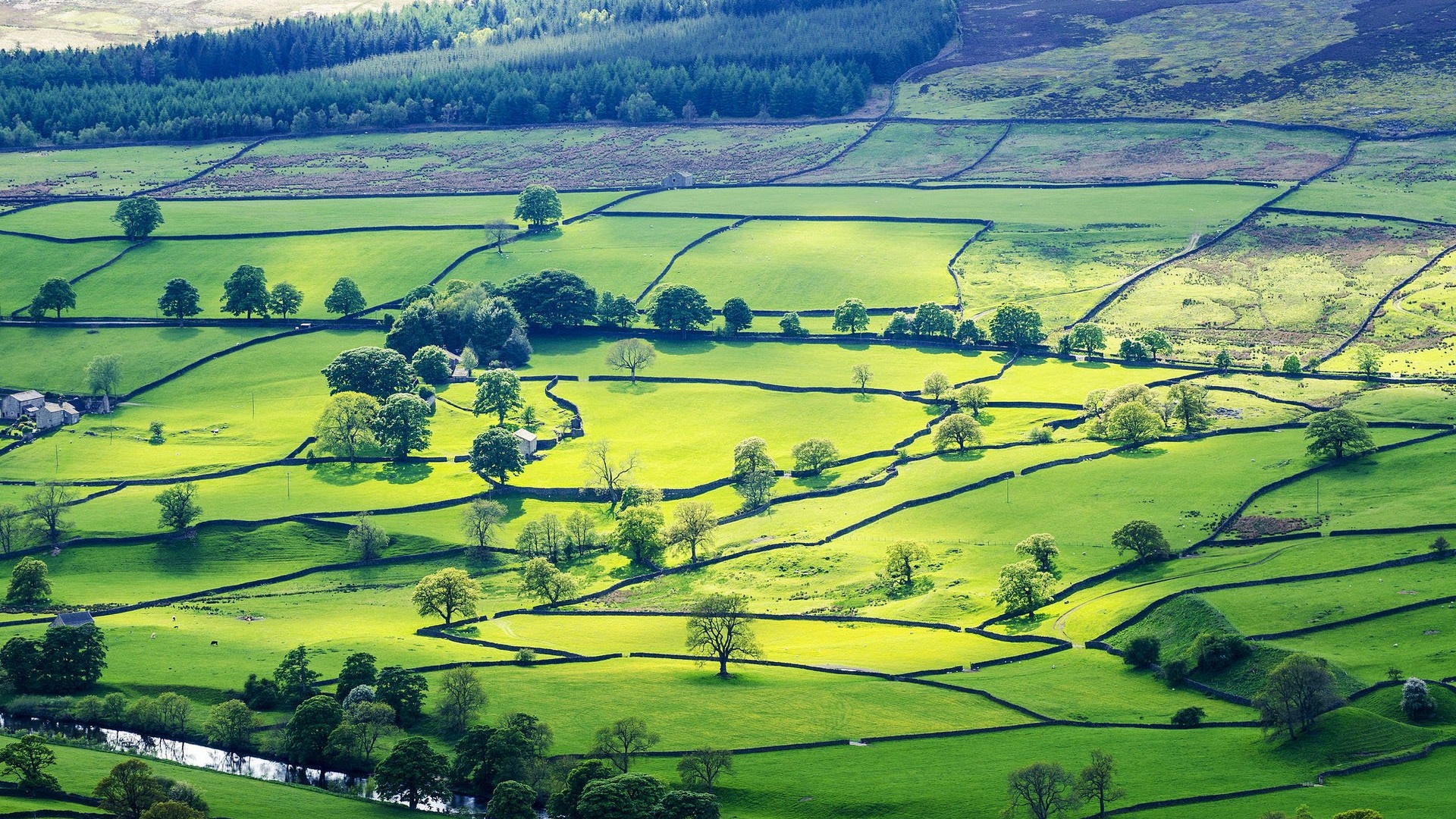景观唯美意境在季节的转角处平原草地绿色养眼村庄安静风景大片壁纸